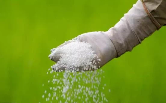 Pirmaujantis nauja ekologiško žemės ūkio era: „Greencare“ pasaulinė trąšų ino...